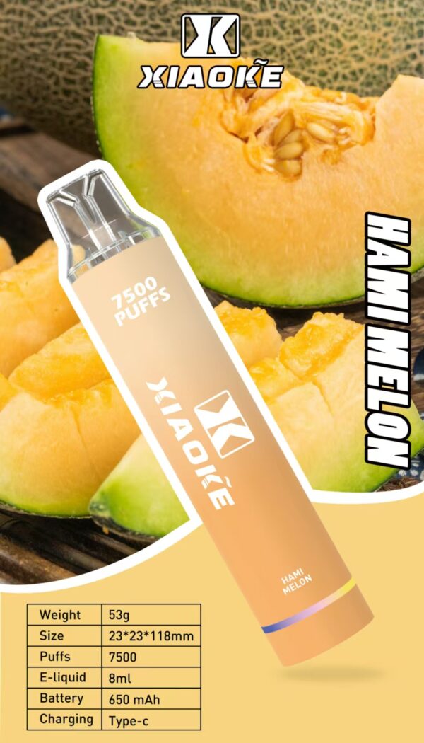 【XIAOKE 梟客】拋棄式🍬  7500口