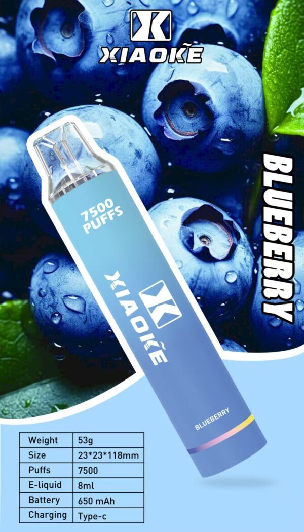 【XIAOKE 梟客】拋棄式🍬  7500口